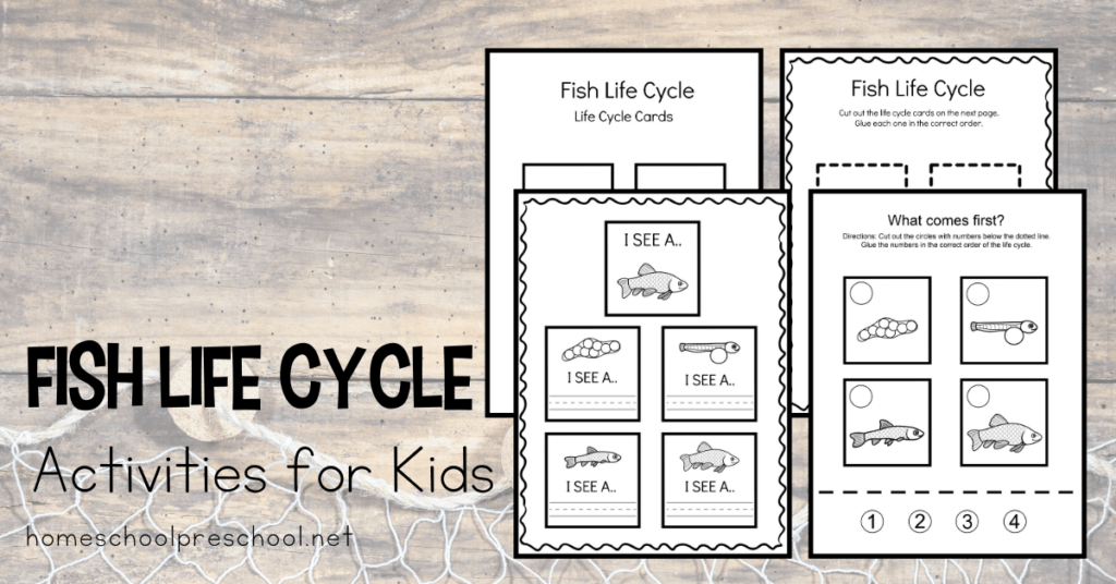 lc-fish-fb-1024x536 Life Cycle of a Fish for Kids