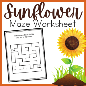 sunflower-maze-300x300 Preschool Life Cycle of a Sunflower