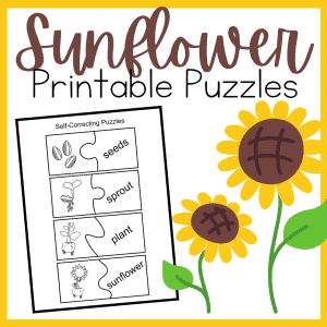 sunflower-puzzles-300x300 Preschool Life Cycle of a Sunflower