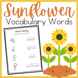 sunflower-vocabulary-300x300 Preschool Life Cycle of a Sunflower