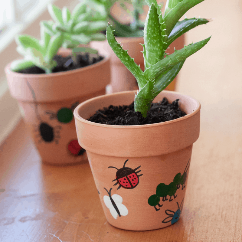 succulents Fingerprint Flower Pot