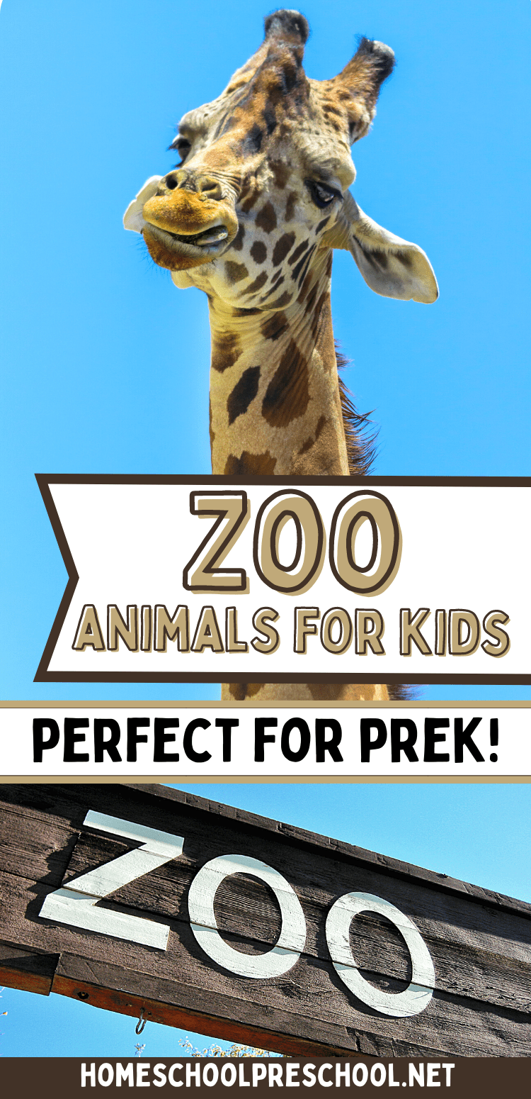 How to Teach About Zoo Animals for Kids