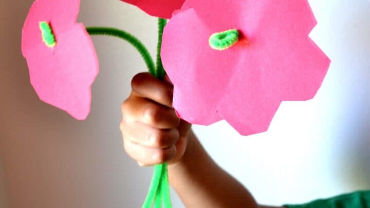 Easy-DIY-Pipe-Cleaner-Flower-Craft-for-Kids-Mommy-Snippets-6-scaled-1-720x405 Paper Crafts for Preschoolers