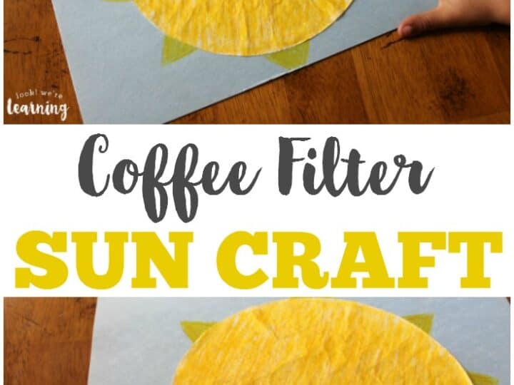 Image for Coffee Filter Sun Craft