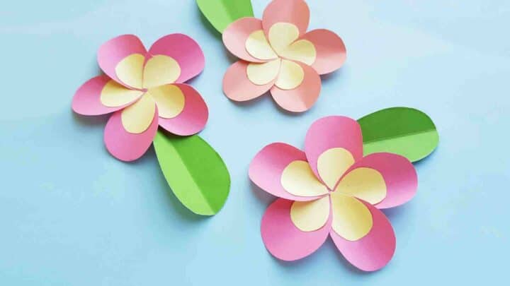 Paper-Plumeria-Craft-Final-9.jpgfit18002c1350ssl1-720x405 Paper Crafts for Preschoolers