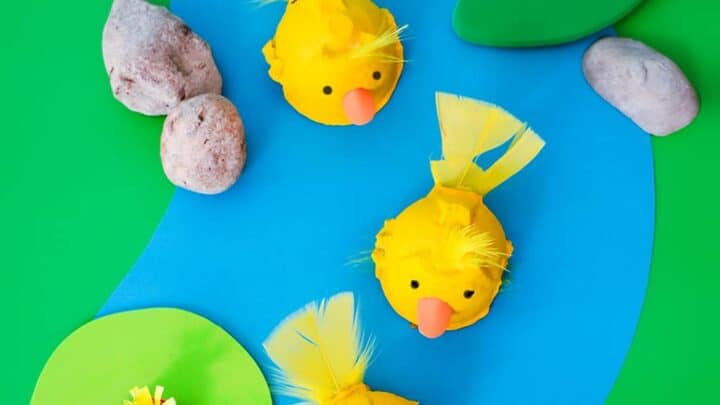bandb-2019-DIY-Floating-Egg-Carton-Ducklings-7-720x405 Egg Carton Farm Animals