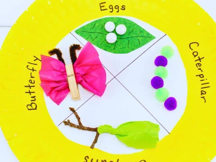Image for Butterfly Life Cycle Science Craft