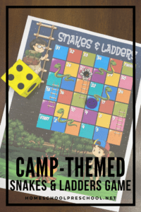 Camping Snakes and Ladders Game