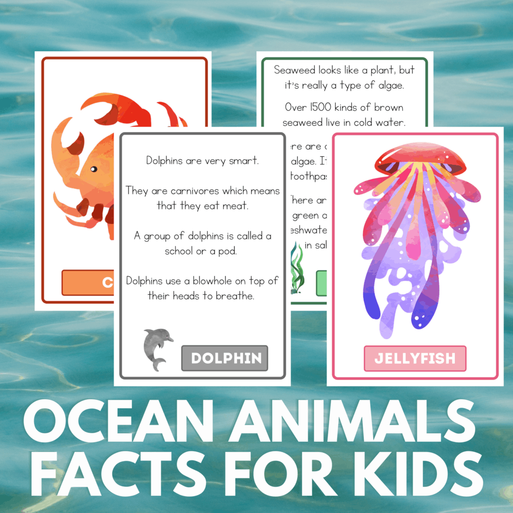 Free Printable Ocean Animals Facts for Kids