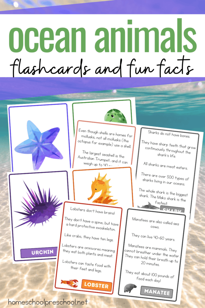 Free Printable Ocean Animals Facts for Kids