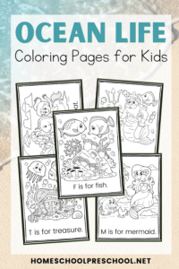 Ocean Life Coloring Pages
