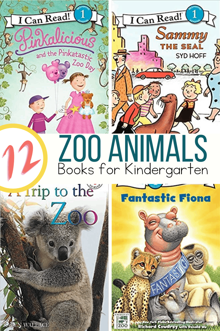 Zoo Books for Kindergarten