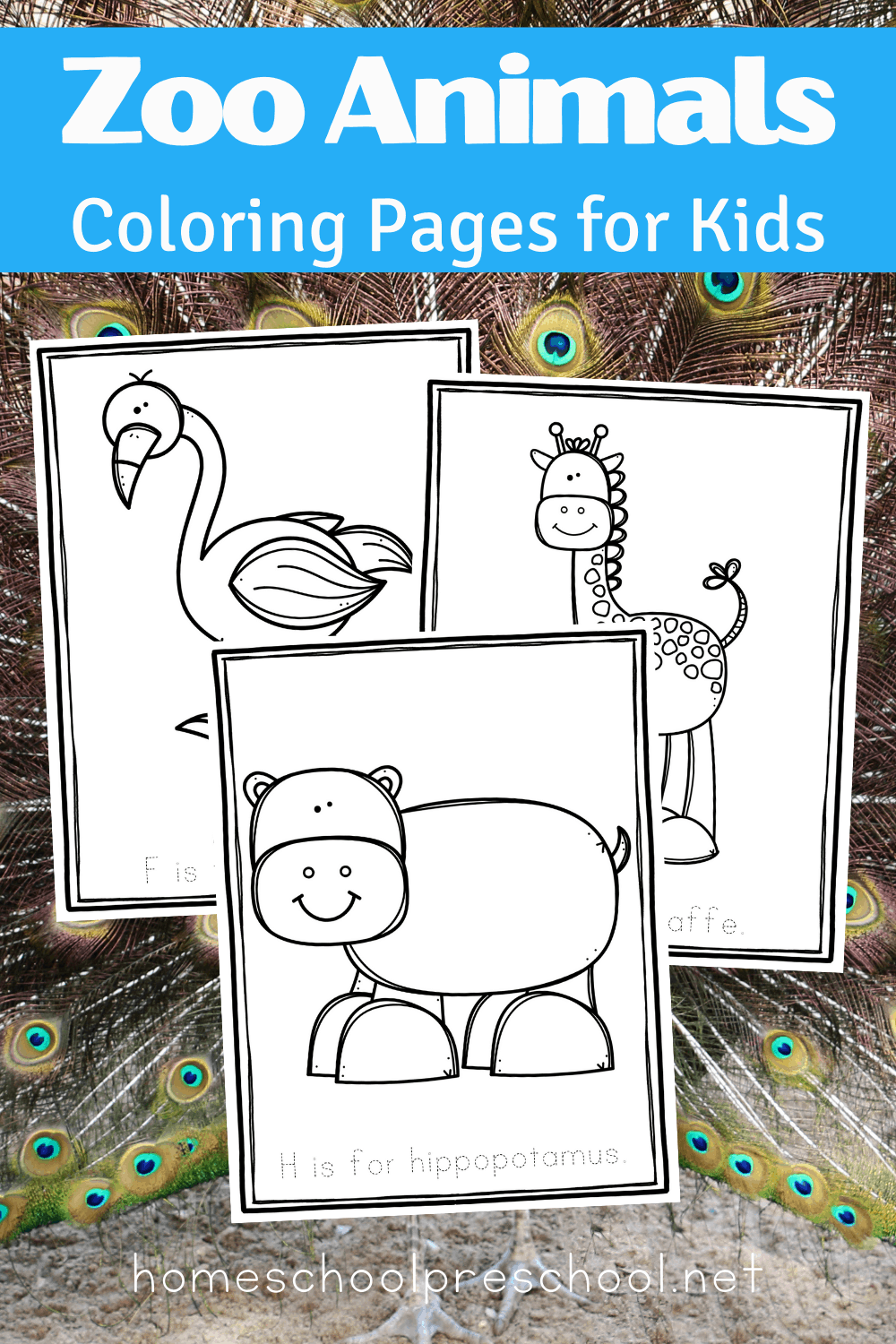 zoo-coloring-1 Zoo Animal Coloring Pages