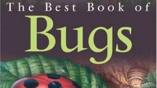 51KvdbVDkDL._SL500_-320x180 Children's Books About Bugs