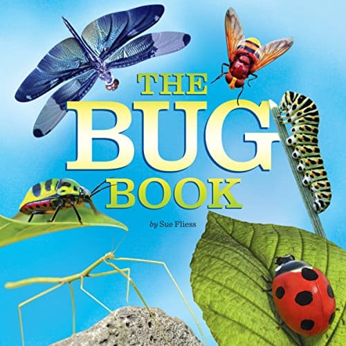 61WvEIeP2cL._SL500_ Children's Books About Bugs
