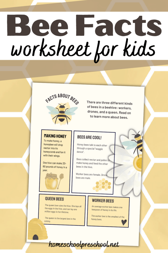 bee-facts-1-683x1024 Bee Facts for Kids