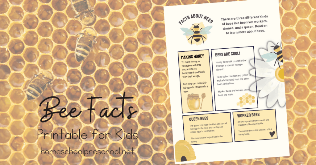 bee-facts-fb-1024x536 Bee Facts for Kids