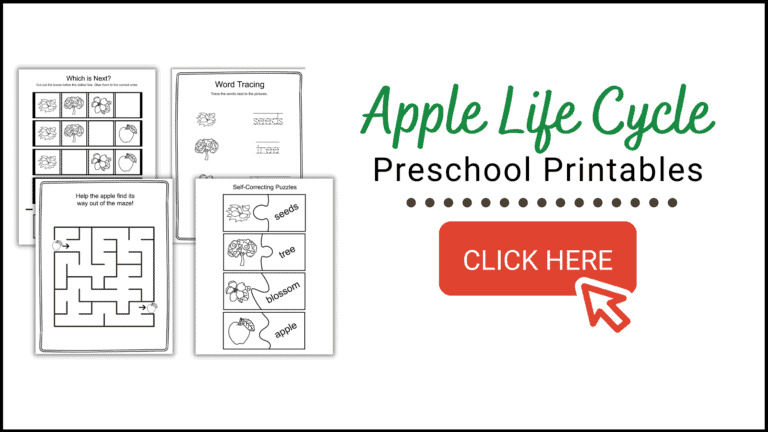 Free Printable Apple Life Cycle Worksheets for Kids