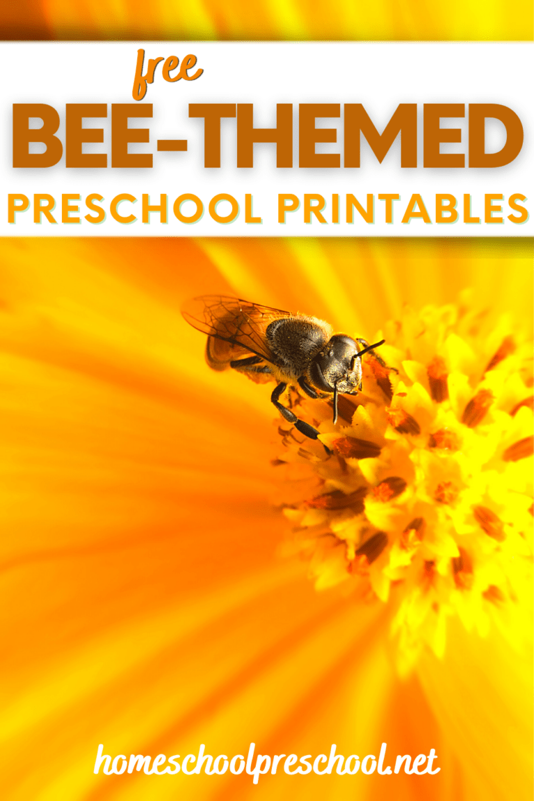 Free Bee Printables