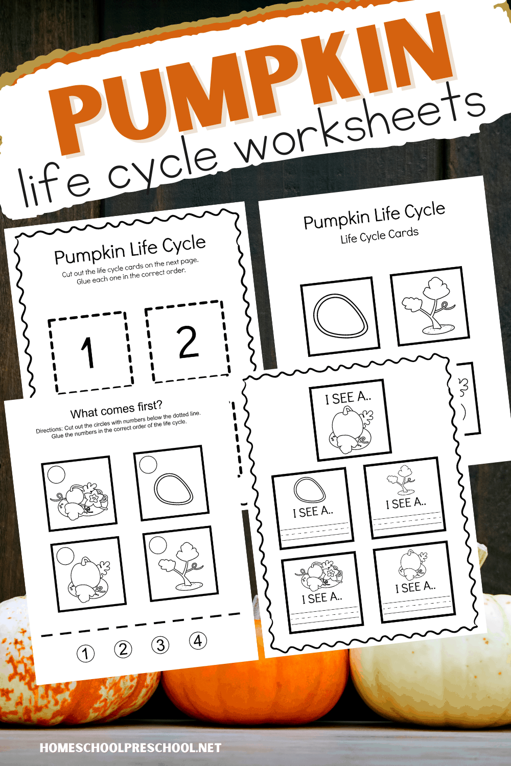Life Cycle of a Pumpkin Printable