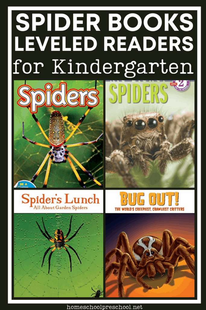 spider-bks-kinder-1-683x1024 Spider Books for Kindergarten