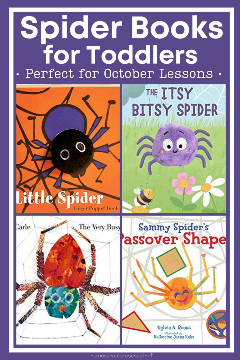 Spider Books for Toddlers