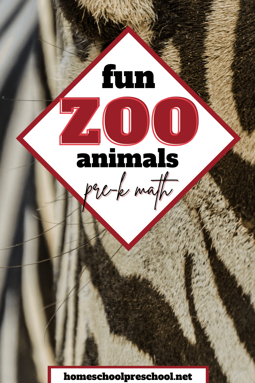 Zoo Animal Preschool Math Activities