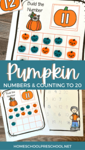 Pumpkin Preschool Math