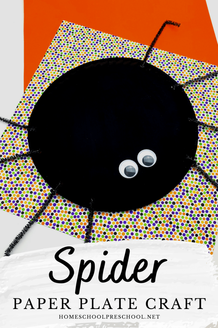 Spider Paper Plate Craft