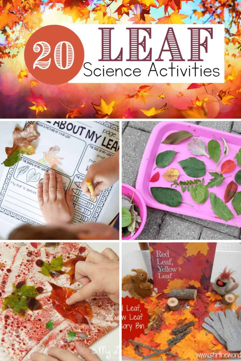 Leaf Science Activities for Preschoolers