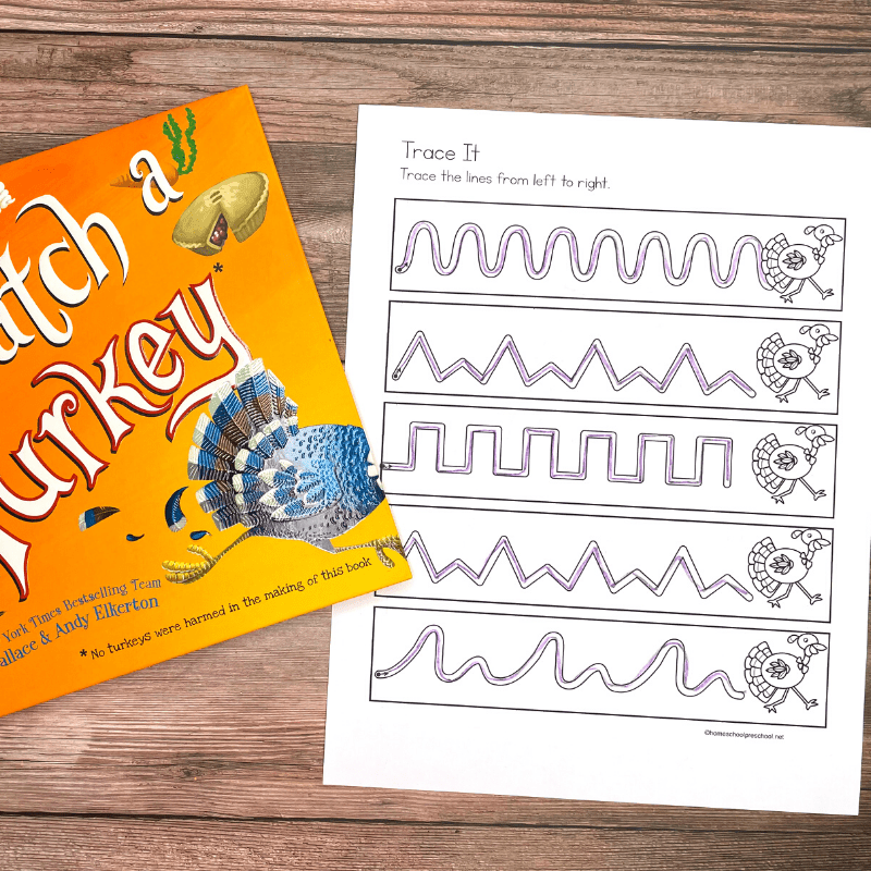 catch-turkey-tracing How to Catch a Turkey Activities