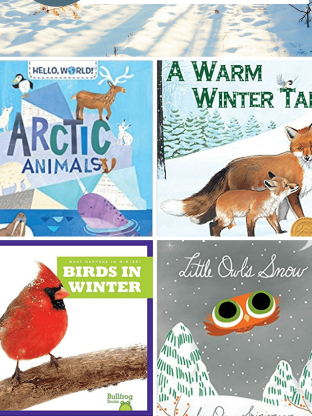 Winter Animals Books for Preschoolers Story