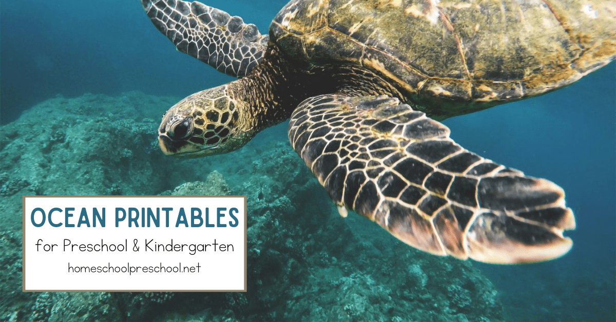 Ocean Printables for Preschool and Kindergarten