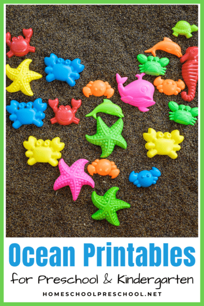 Printable Ocean Rocks Ocean Printables for Preschool and Kindergarten