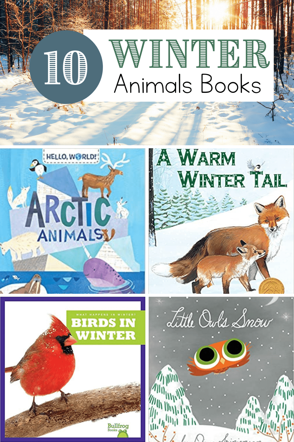 10 Engaging Winter Animals Books for Preschoolers