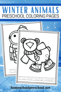 Winter Animals Coloring Pages for Preschool