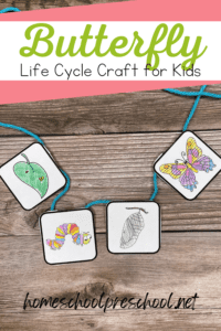 Life Cycle of a Butterfly Craft