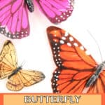 butterfly-activities-150x150 Butterfly Activities for Preschoolers