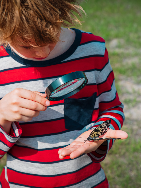Butterfly Activities for Preschoolers