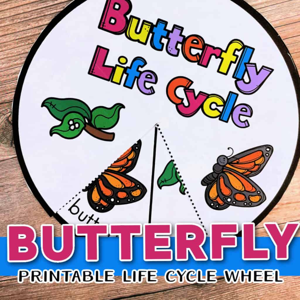 butterfly-life-cycle-for-kids-1024x1024 Butterfly Life Cycle Wheel