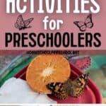 long collage of butterfly science activities for preschoolers