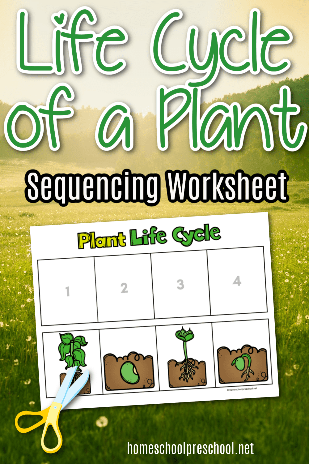 life-cycle-of-a-plant-wksht-1 Life Cycle of a Plant Worksheet
