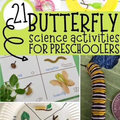 21 Butterfly Science Activities for Preschoolers