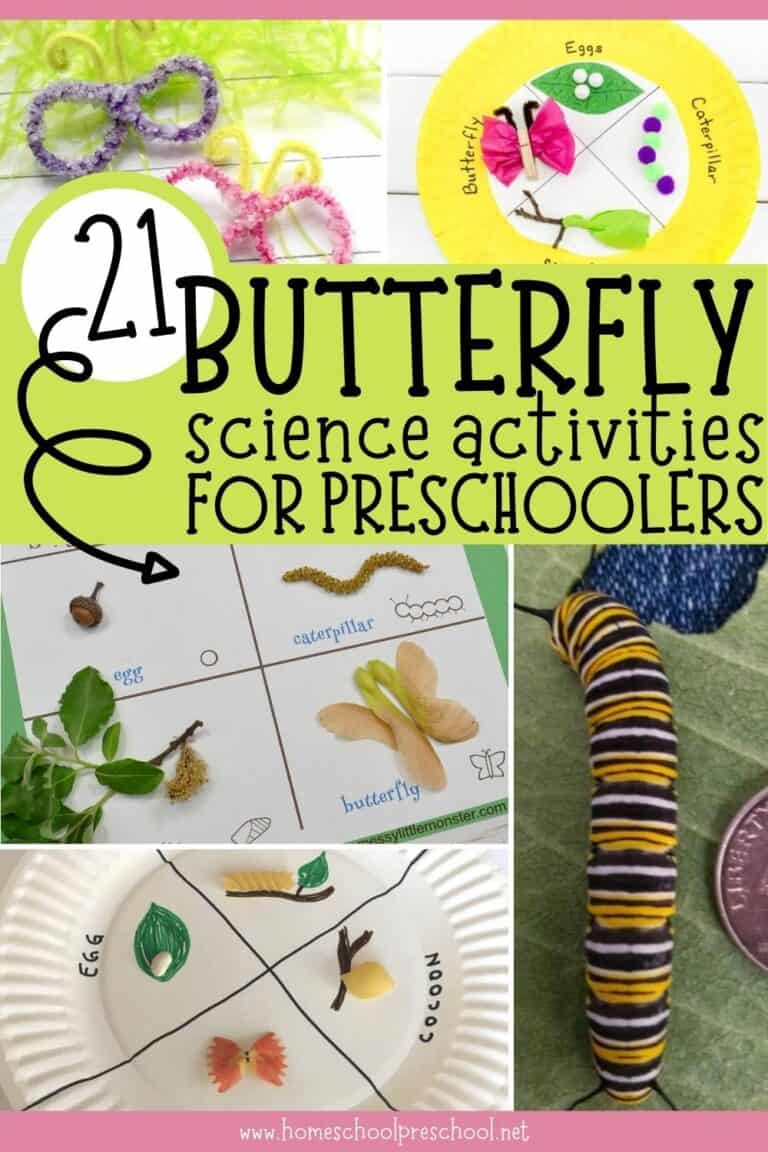 21 Butterfly Science Activities for Preschoolers