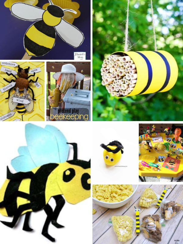 Exploring Bees for Kids