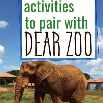 Dear Zoo Activities for Preschoolers