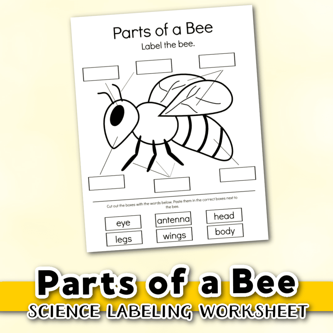 Bee Worksheet For Kindergarten Printable Kindergarten Worksheets