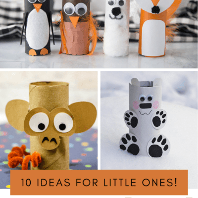 Toilet Paper Roll Zoo Animals