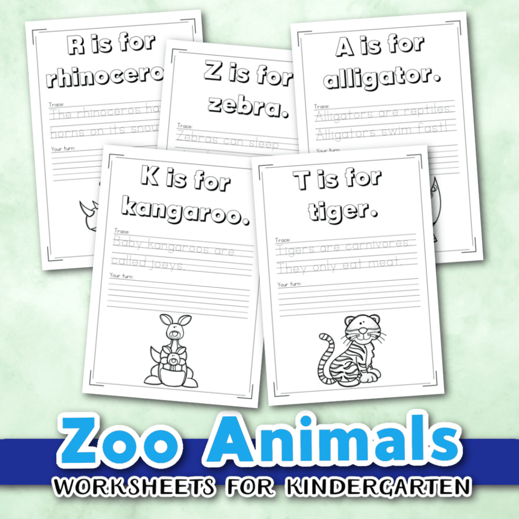 kindergarten zoo worksheets