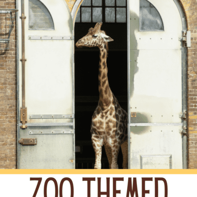 Zoo Themed Classroom Decorations